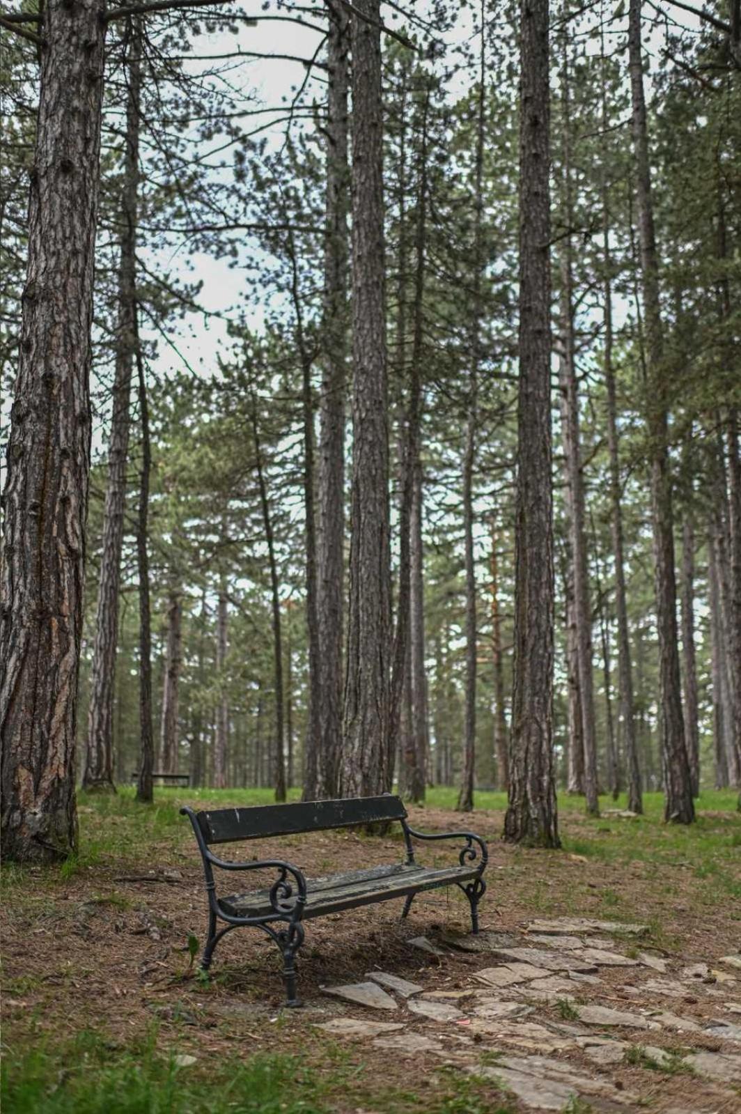 Mb Apartman Tara Kaludjerske Bare Ruang foto